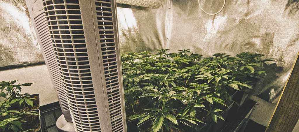 How to automate your cannabis grow room?