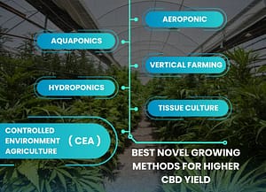 advanced Novel Growing Methods for Higher Cannabis Yield in Canada