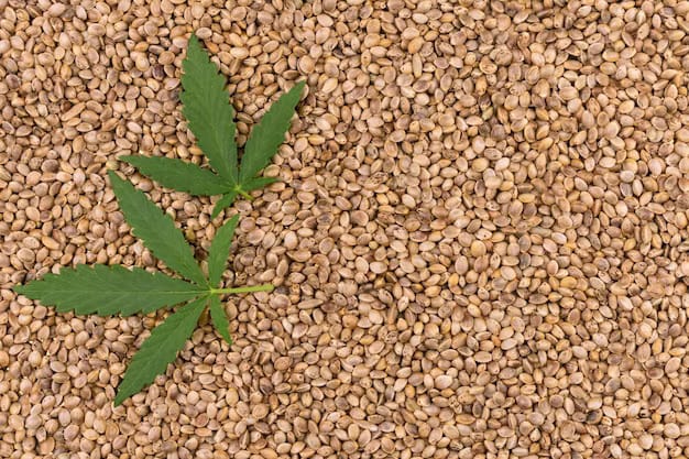 Indica, Sativa, and Hybrid cannabis seeds