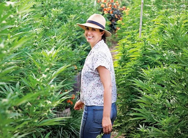 Is Growing Cannabis Legal in Montreal?